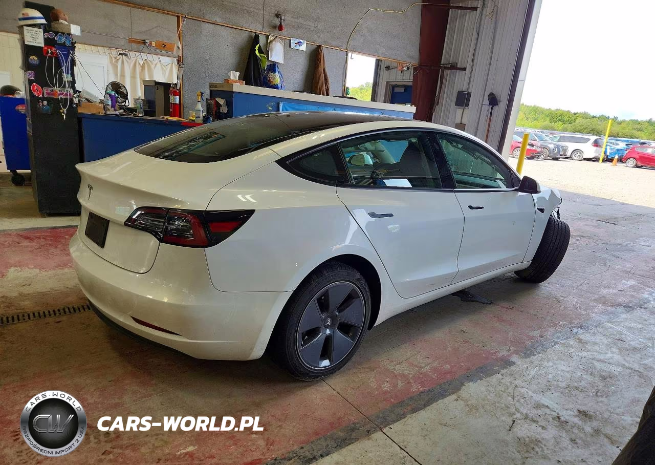2023 Tesla Model 3 VIN:5YJ3E1EA9PF498698 - 3