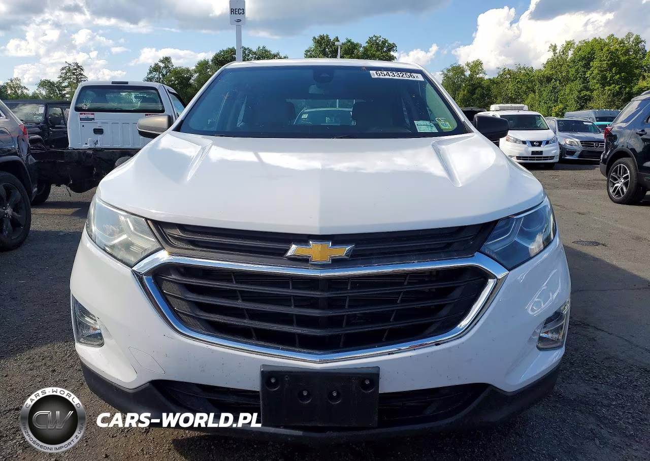 2020 Chevrolet Equinox Ls VIN:3GNAXSEV7LS508373 - 5