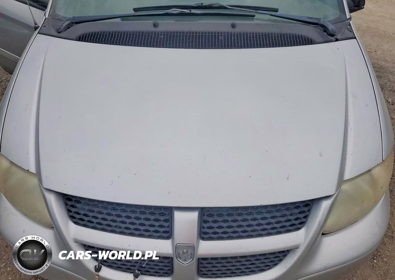 2004 Dodge Grand Caravan Sxt VIN:2D4GP44L34R563810 - 12