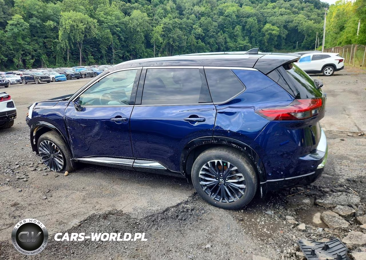 2025 Nissan Rogue Platinum VIN:JN8BT3DD4SW300837 - 2