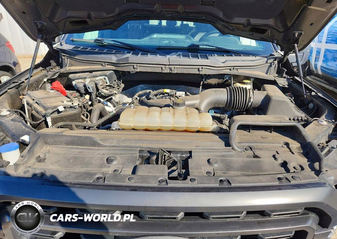 2021 Ford F150 Supercrew VIN:1FTEW1EP3MKD52886 - 11