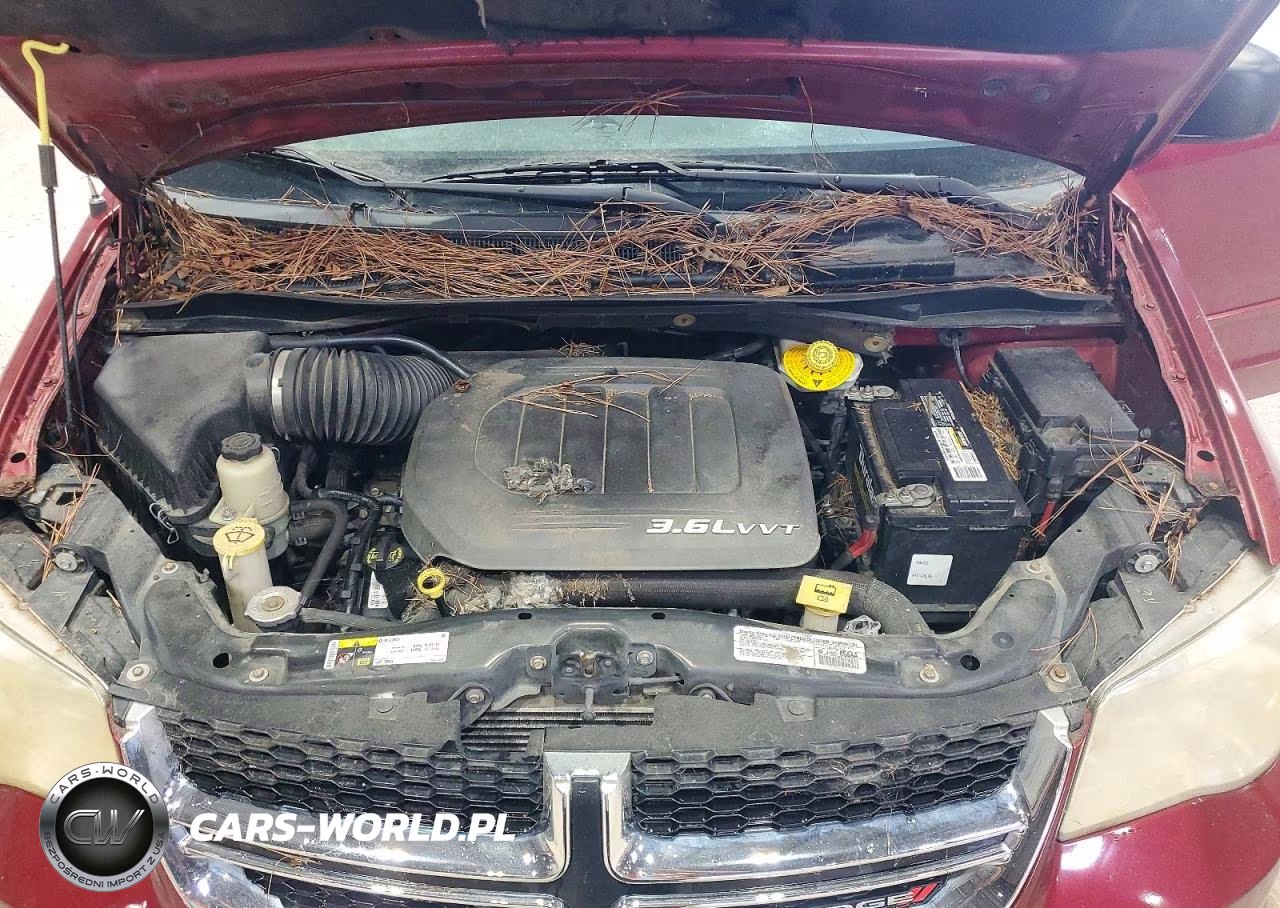 2014 Dodge Grand Caravan Se VIN:2C4RDGBG7ER471798 - 12