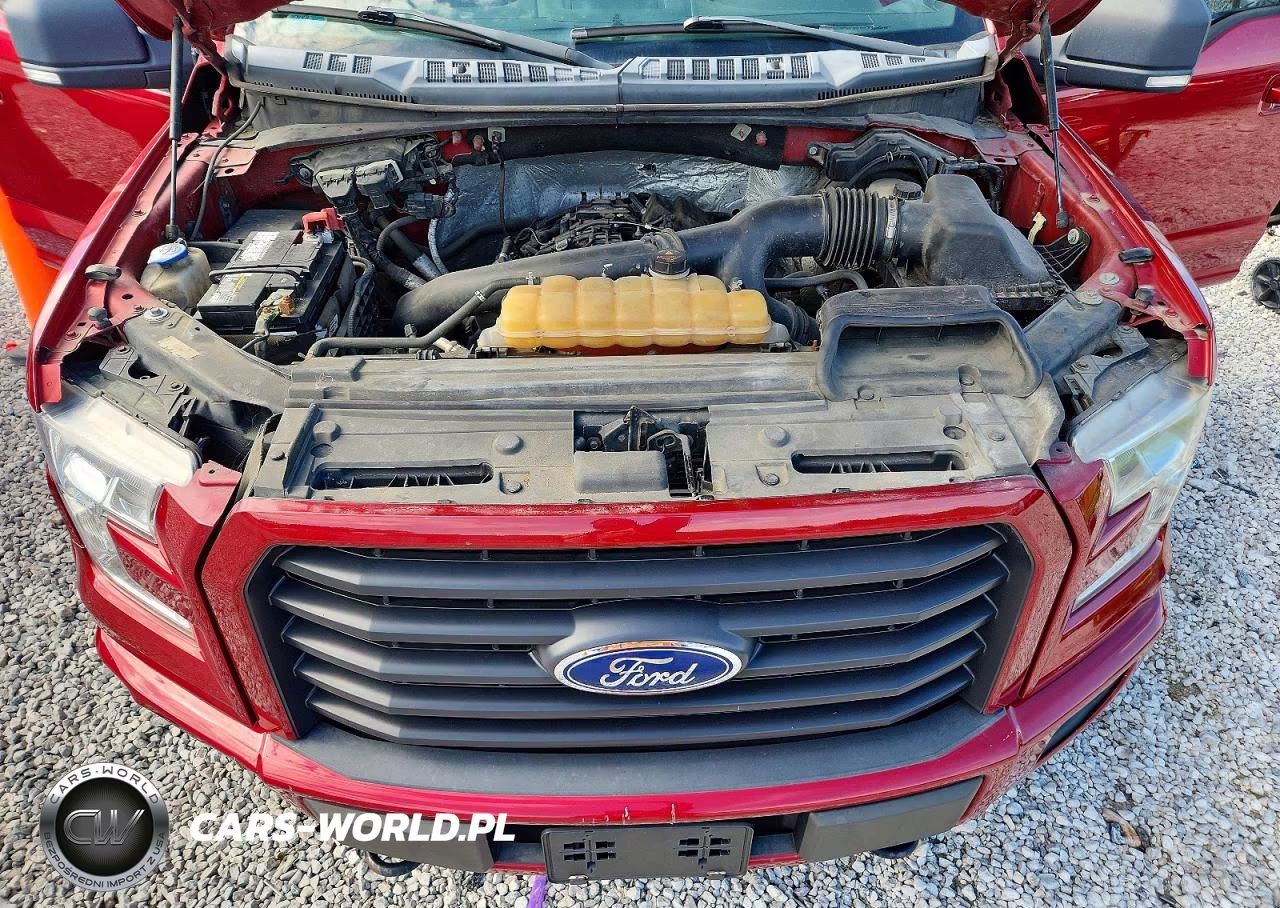 2016 Ford F150 Supercrew VIN:1FTEW1EG9GFB67724 - 11