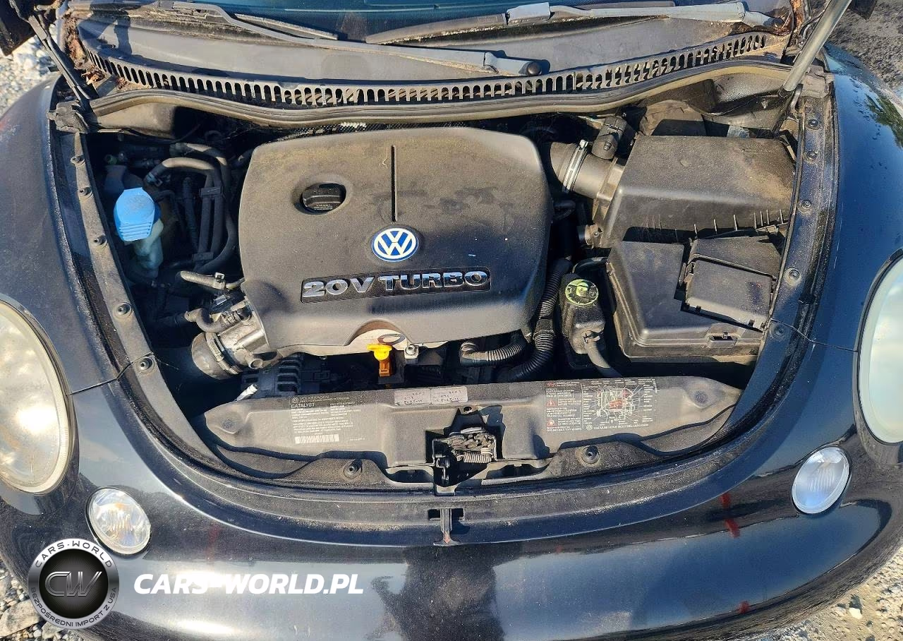 2002 Volkswagen New Beetle Turbo S VIN:3VWFE21C52M445542 - 11