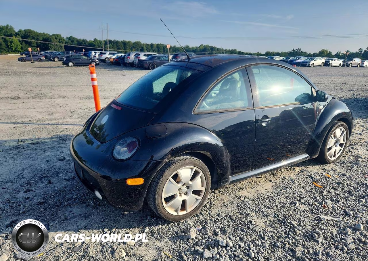 2002 Volkswagen New Beetle Turbo S VIN:3VWFE21C52M445542 - 3