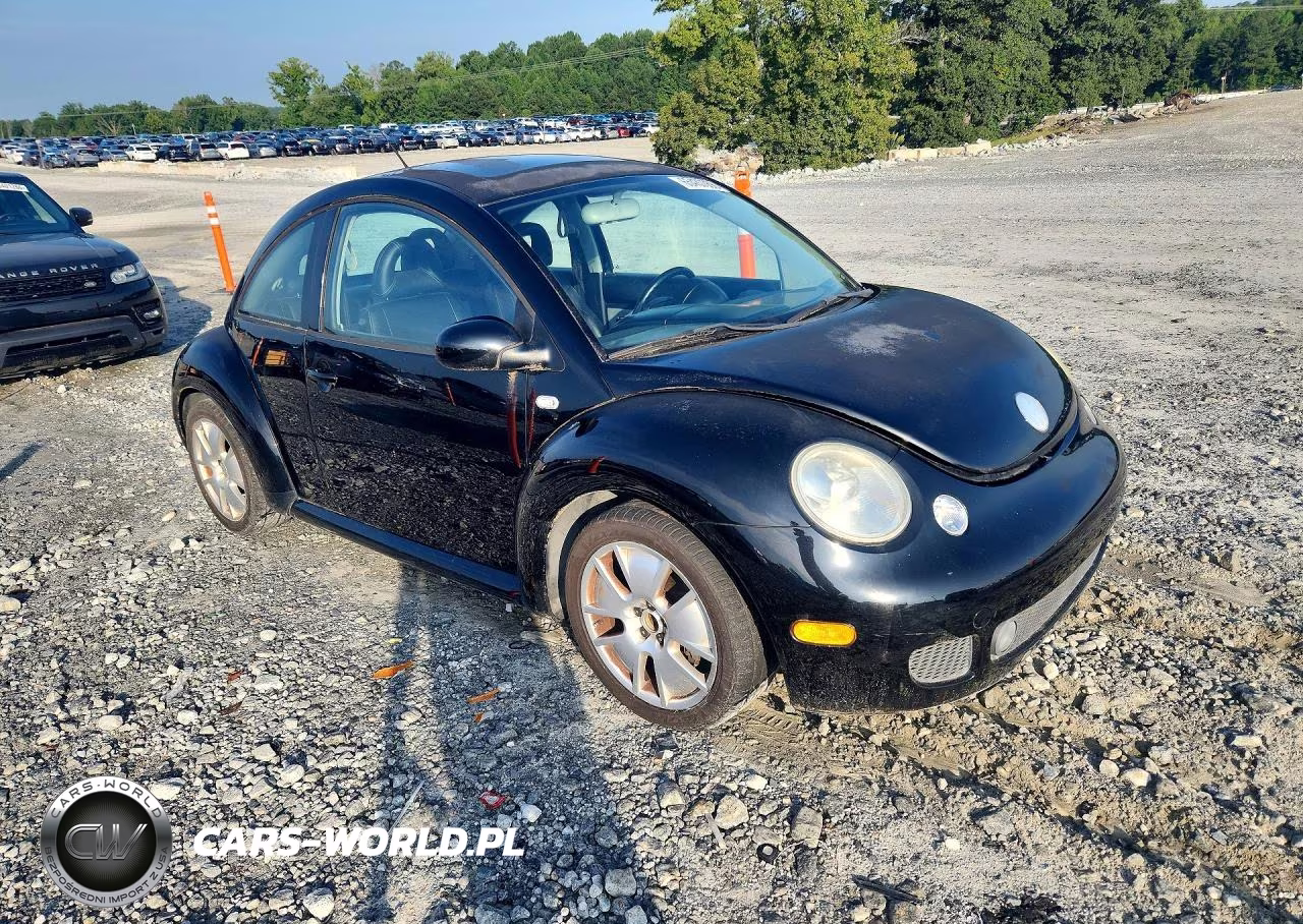 2002 Volkswagen New Beetle Turbo S VIN:3VWFE21C52M445542 - 4