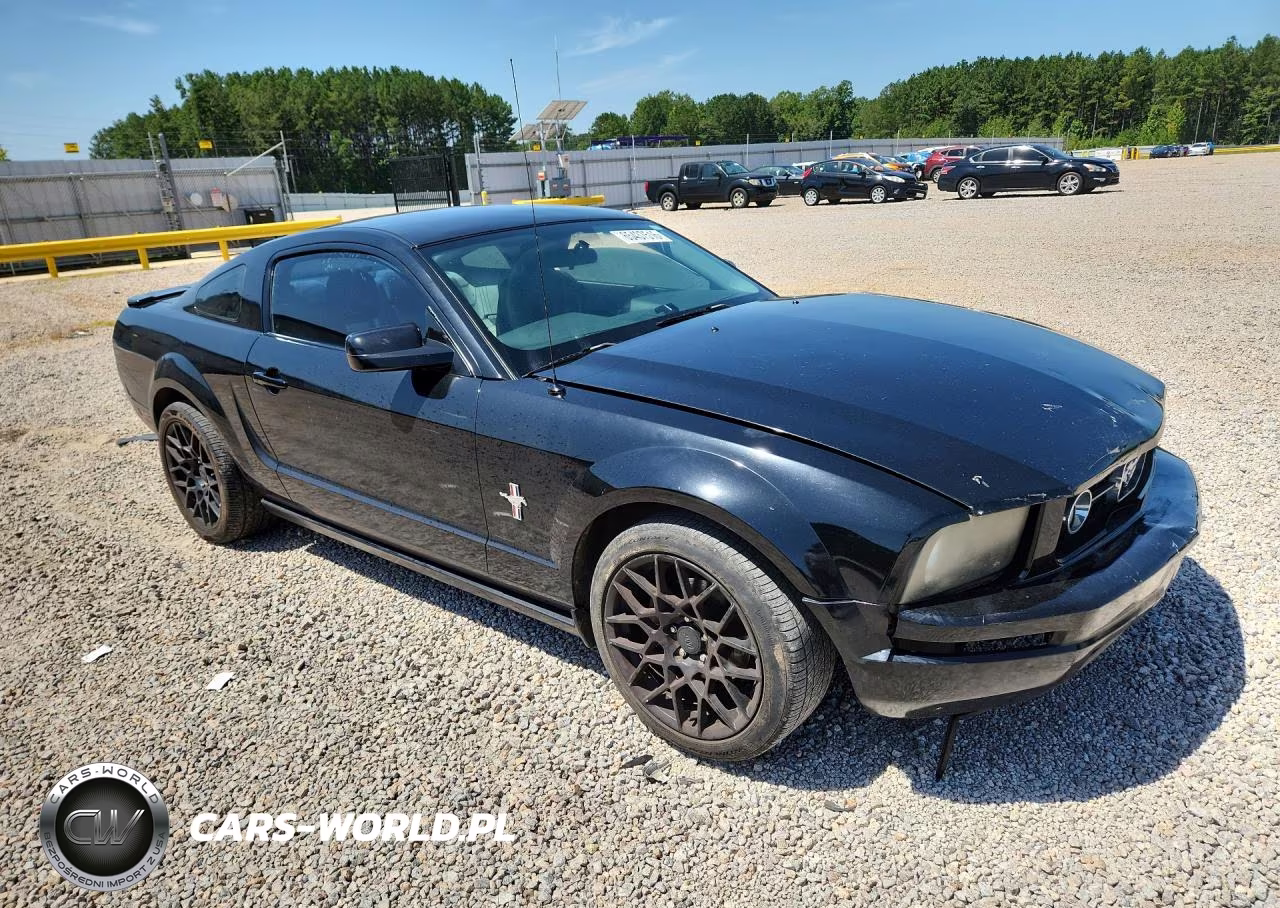 2008 Ford Mustang VIN:1ZVHT80N385159739 - 4