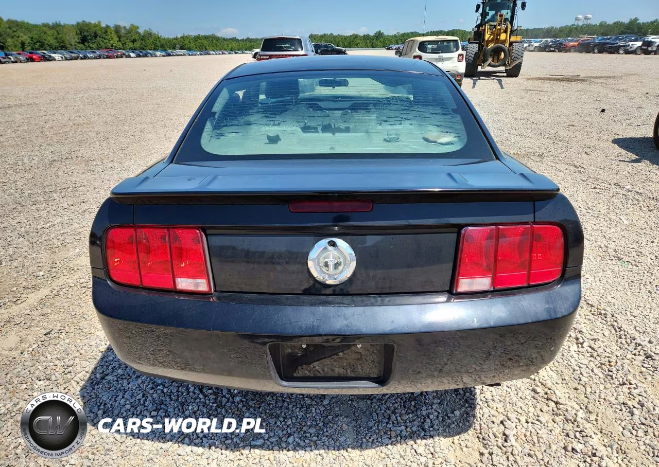 2008 Ford Mustang VIN:1ZVHT80N385159739 - 6