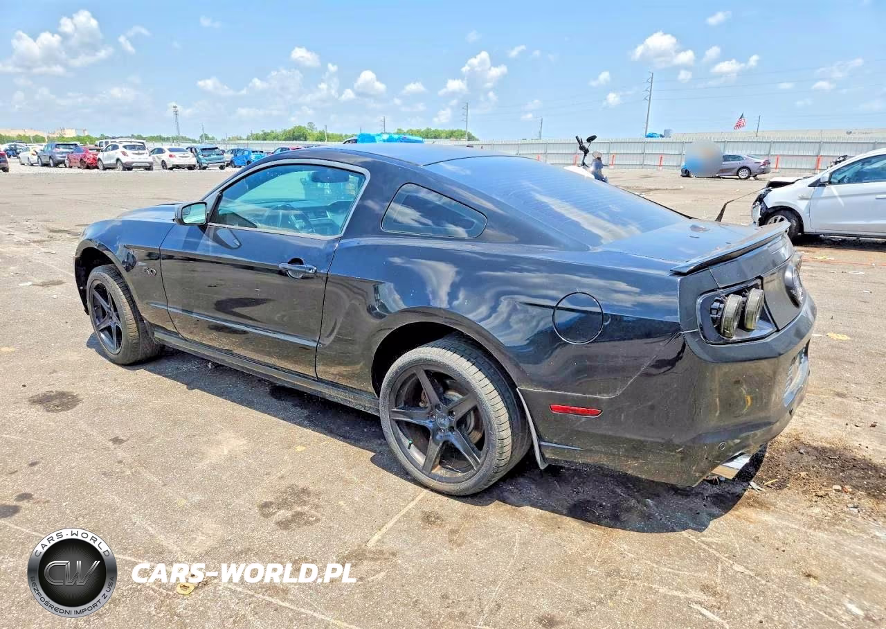 2014 Ford Mustang Gt VIN:1ZVBP8CF1E5290940 - 2
