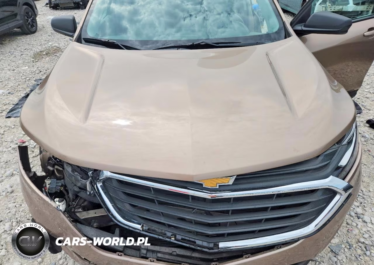 2019 Chevrolet Equinox Ls VIN:2GNAXHEV7K6165581 - 12