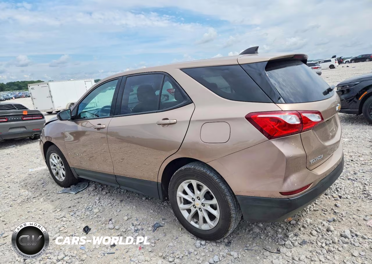 2019 Chevrolet Equinox Ls VIN:2GNAXHEV7K6165581 - 2