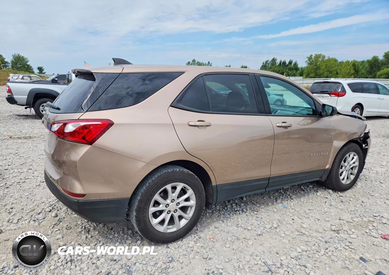 2019 Chevrolet Equinox Ls VIN:2GNAXHEV7K6165581 - 3