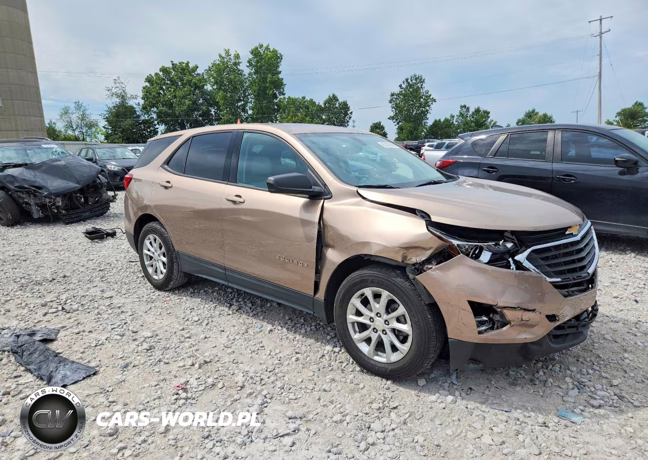 2019 Chevrolet Equinox Ls VIN:2GNAXHEV7K6165581 - 4