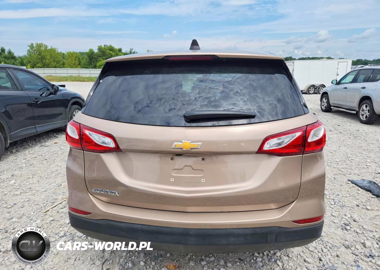 2019 Chevrolet Equinox Ls VIN:2GNAXHEV7K6165581 - 6