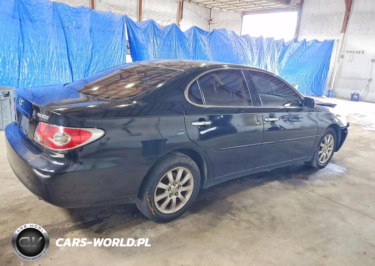 2003 Lexus Es 300 VIN:JTHBF30G930119237 - 3