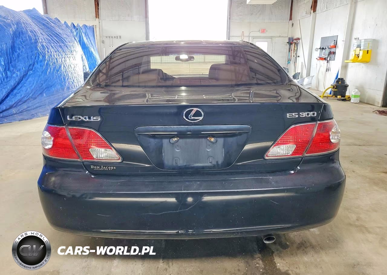 2003 Lexus Es 300 VIN:JTHBF30G930119237 - 6