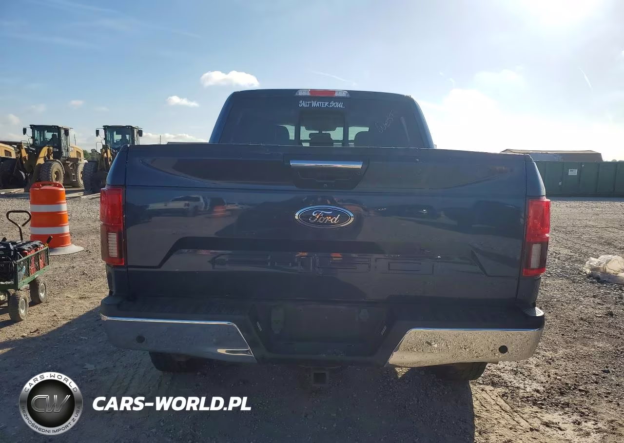 2018 Ford F150 Supercrew VIN:1FTEW1E51JKE56917 - 6