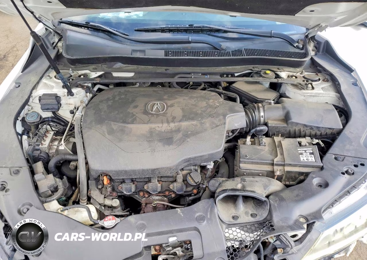 2015 Acura Tlx VIN:19UUB2F37FA019724 - 11