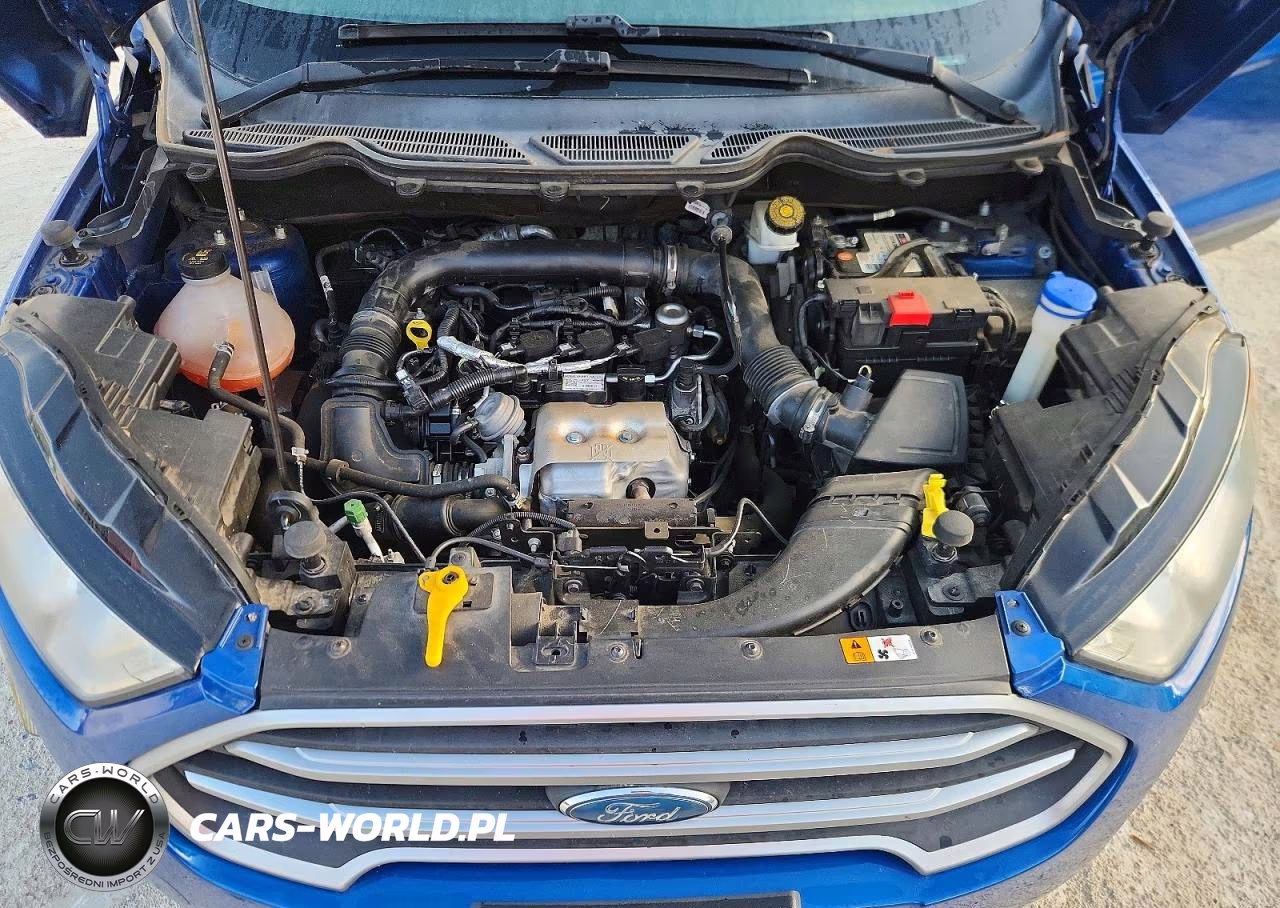2018 Ford Ecosport Se VIN:MAJ3P1TE6JC200621 - 12