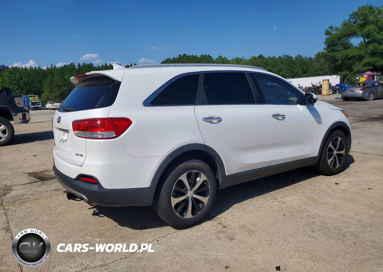 2016 Kia Sorento Ex VIN:5XYPH4A52GG159938 - 3
