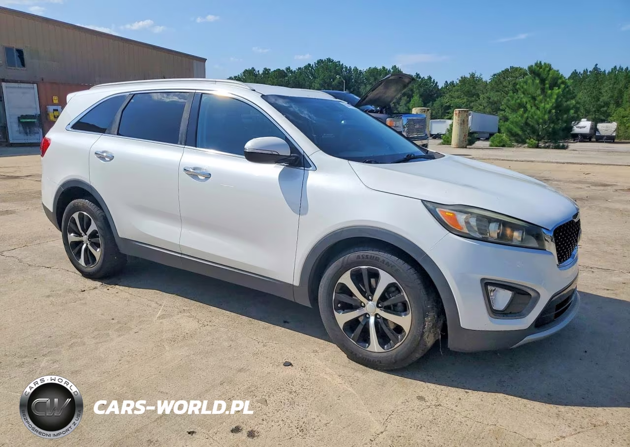 2016 Kia Sorento Ex VIN:5XYPH4A52GG159938 - 4