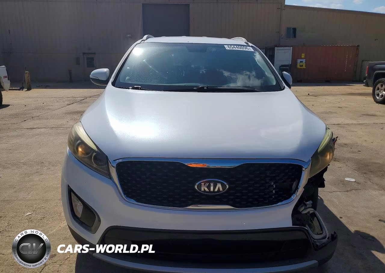 2016 Kia Sorento Ex VIN:5XYPH4A52GG159938 - 5