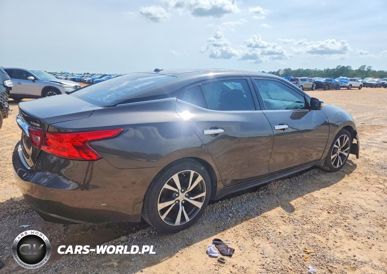 2016 Nissan Maxima Platinum VIN:1N4AA6AP1GC447905 - 3