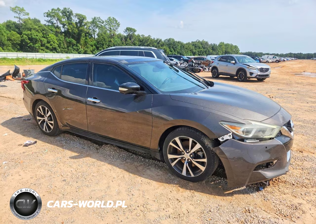 2016 Nissan Maxima Platinum VIN:1N4AA6AP1GC447905 - 4