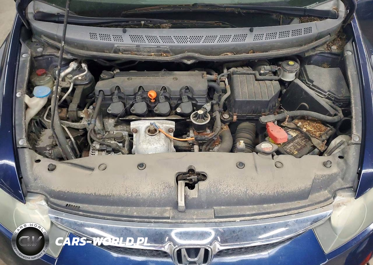 2010 Honda Civic Exl VIN:19XFA1F94AE003396 - 11