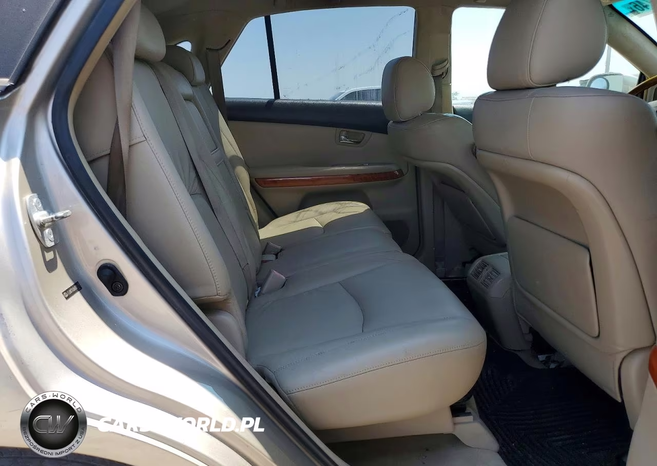 2006 Lexus Rx 400 VIN:JTJGW31U362000231 - 10