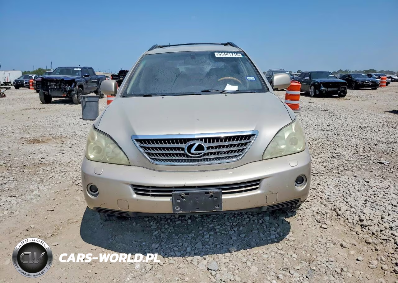 2006 Lexus Rx 400 VIN:JTJGW31U362000231 - 5