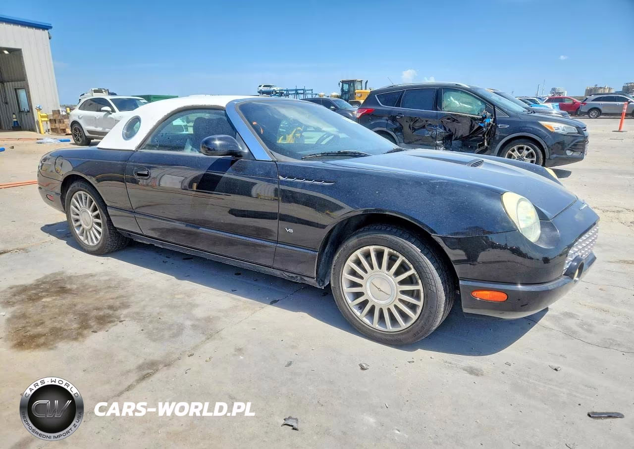 2004 Ford Thundrbird VIN:1FAHP60A04Y106990 - 4