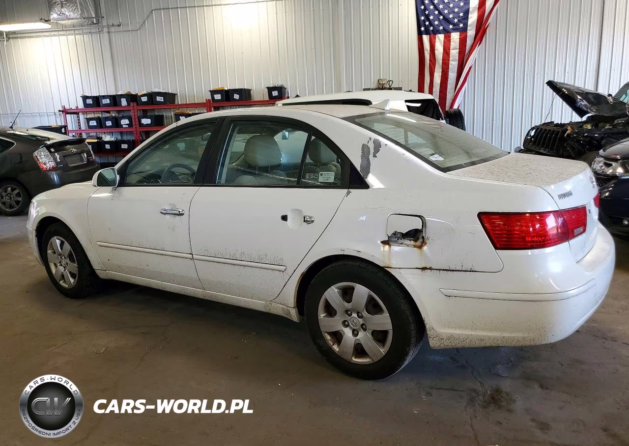 2010 Hyundai Sonata Gls VIN:5NPET4AC0AH601975 - 2
