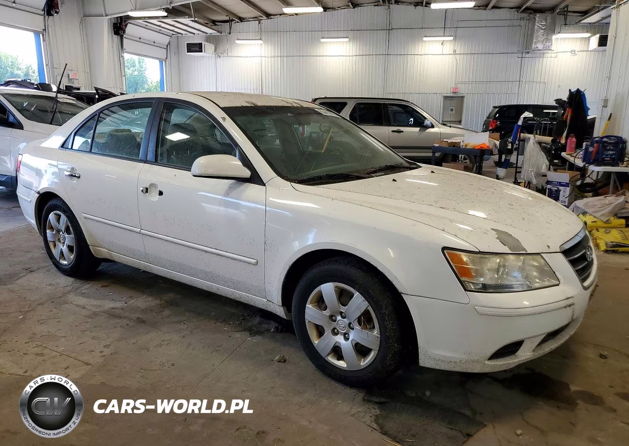 2010 Hyundai Sonata Gls VIN:5NPET4AC0AH601975 - 4