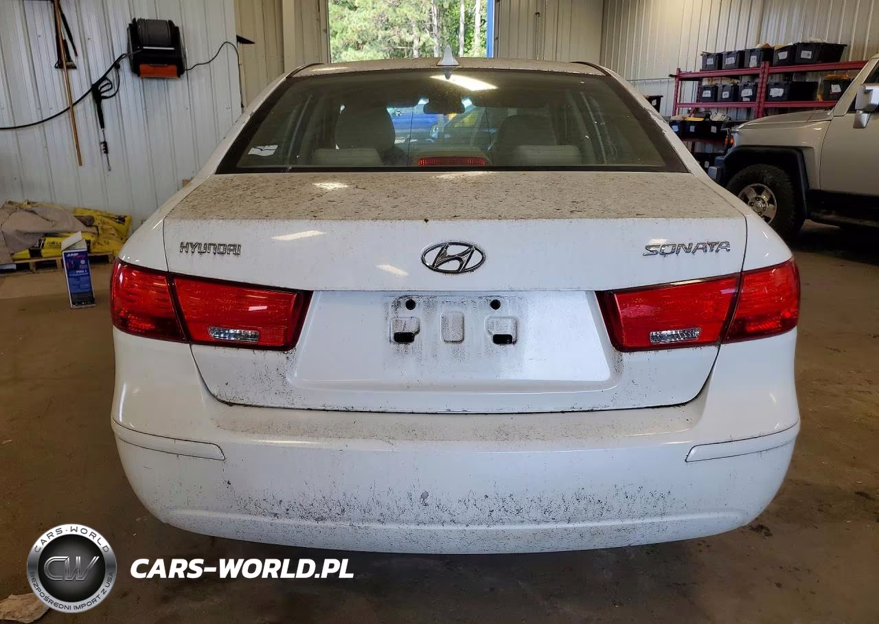 2010 Hyundai Sonata Gls VIN:5NPET4AC0AH601975 - 6
