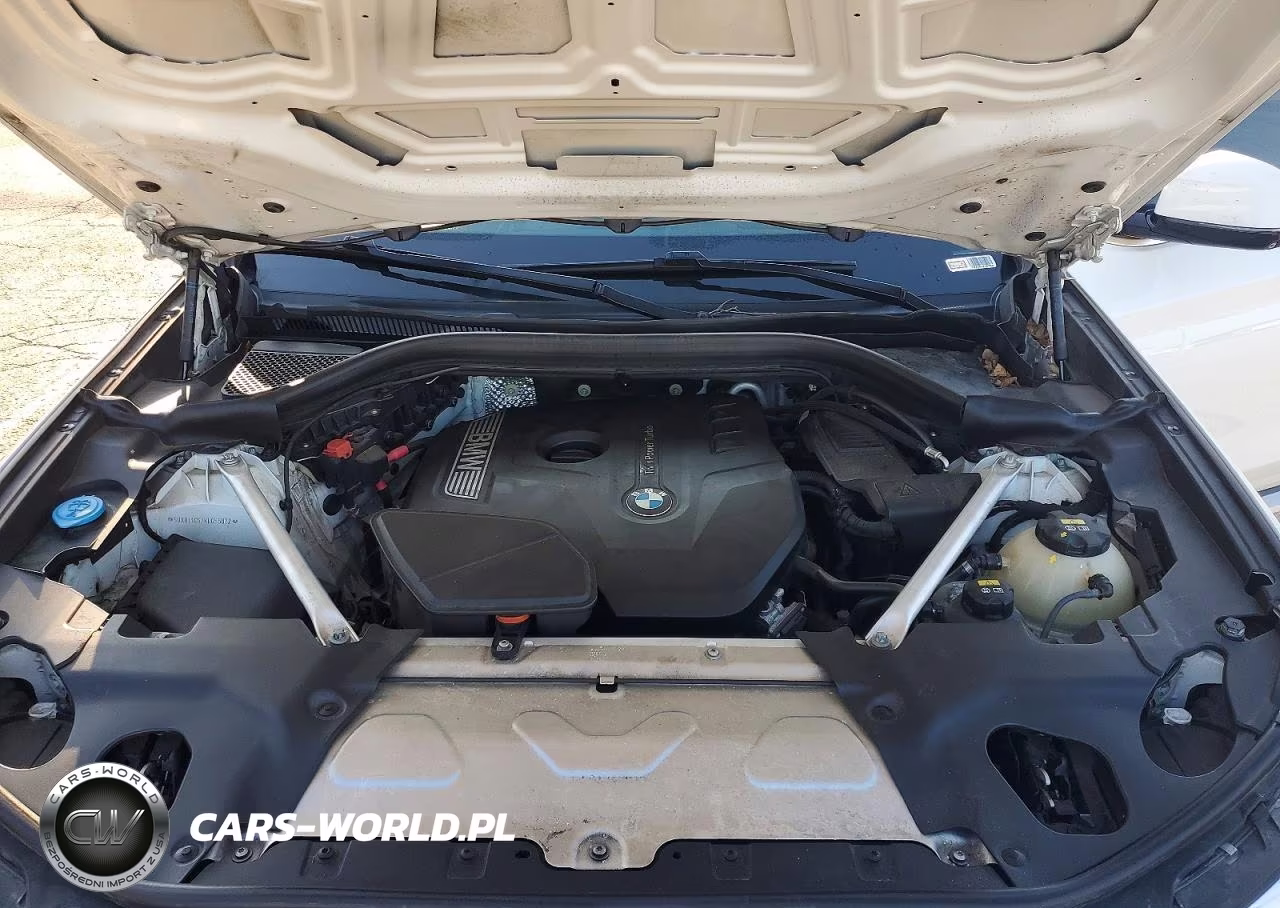 2019 BMW X4 xDrive30I VIN:5UXUJ3C57KLG55072 - 12