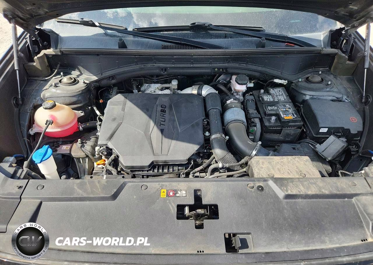 2024 Hyundai Santa Fe Limited VIN:5NMP44GL5RH013768 - 12
