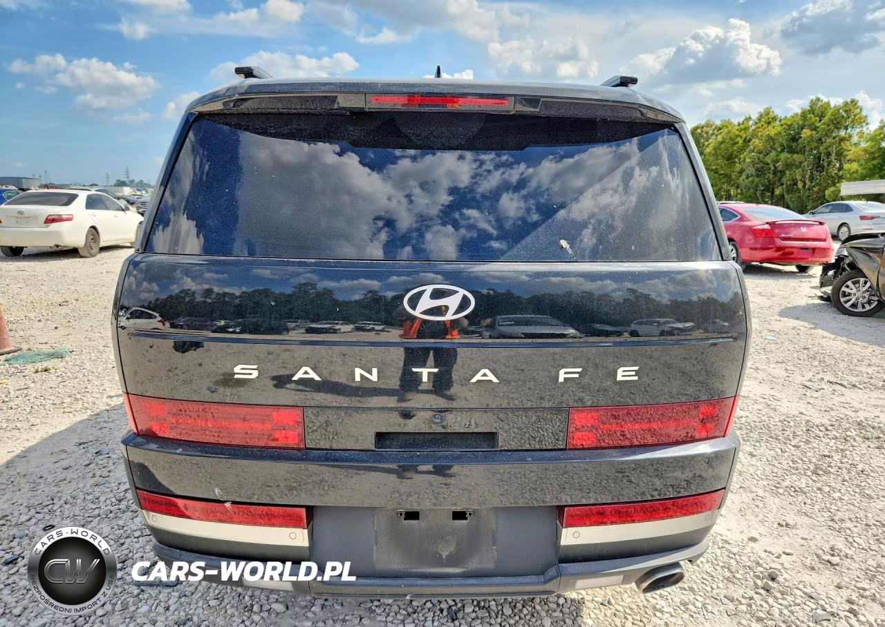 2024 Hyundai Santa Fe Limited VIN:5NMP44GL5RH013768 - 6