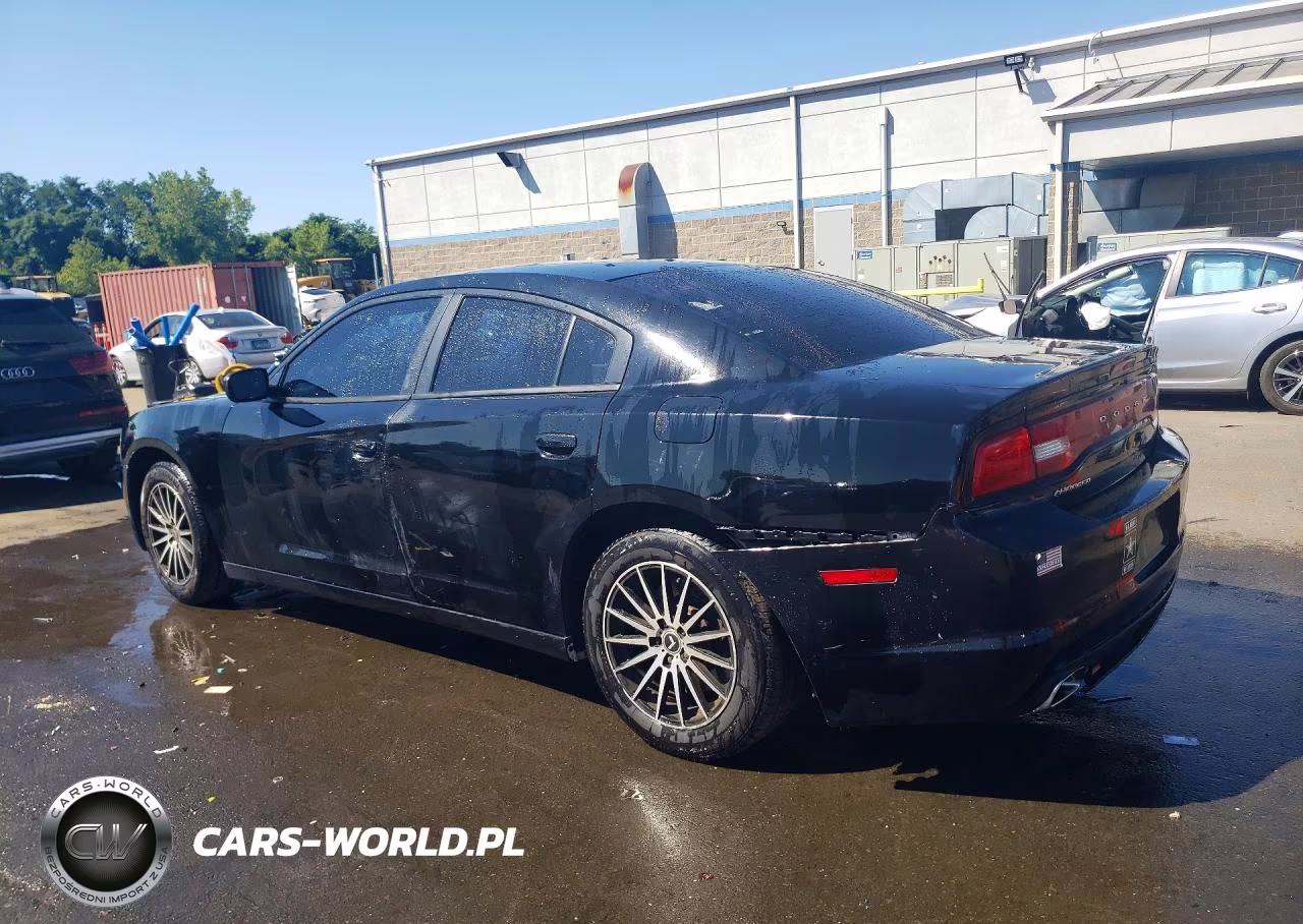 2013 Dodge Charger Police VIN:2C3CDXAG9DH713555 - 2