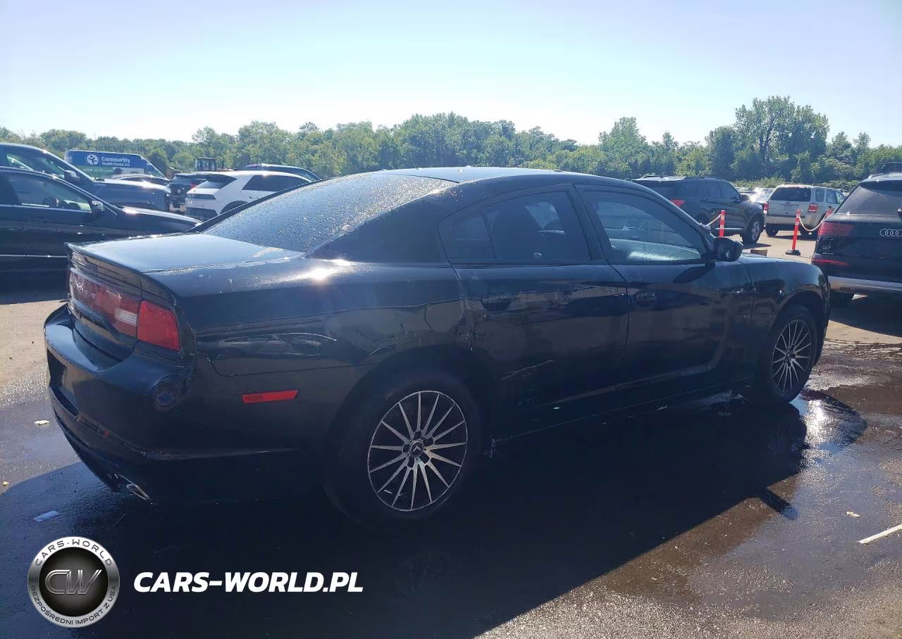 2013 Dodge Charger Police VIN:2C3CDXAG9DH713555 - 3