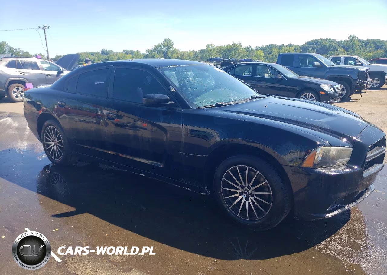 2013 Dodge Charger Police VIN:2C3CDXAG9DH713555 - 4