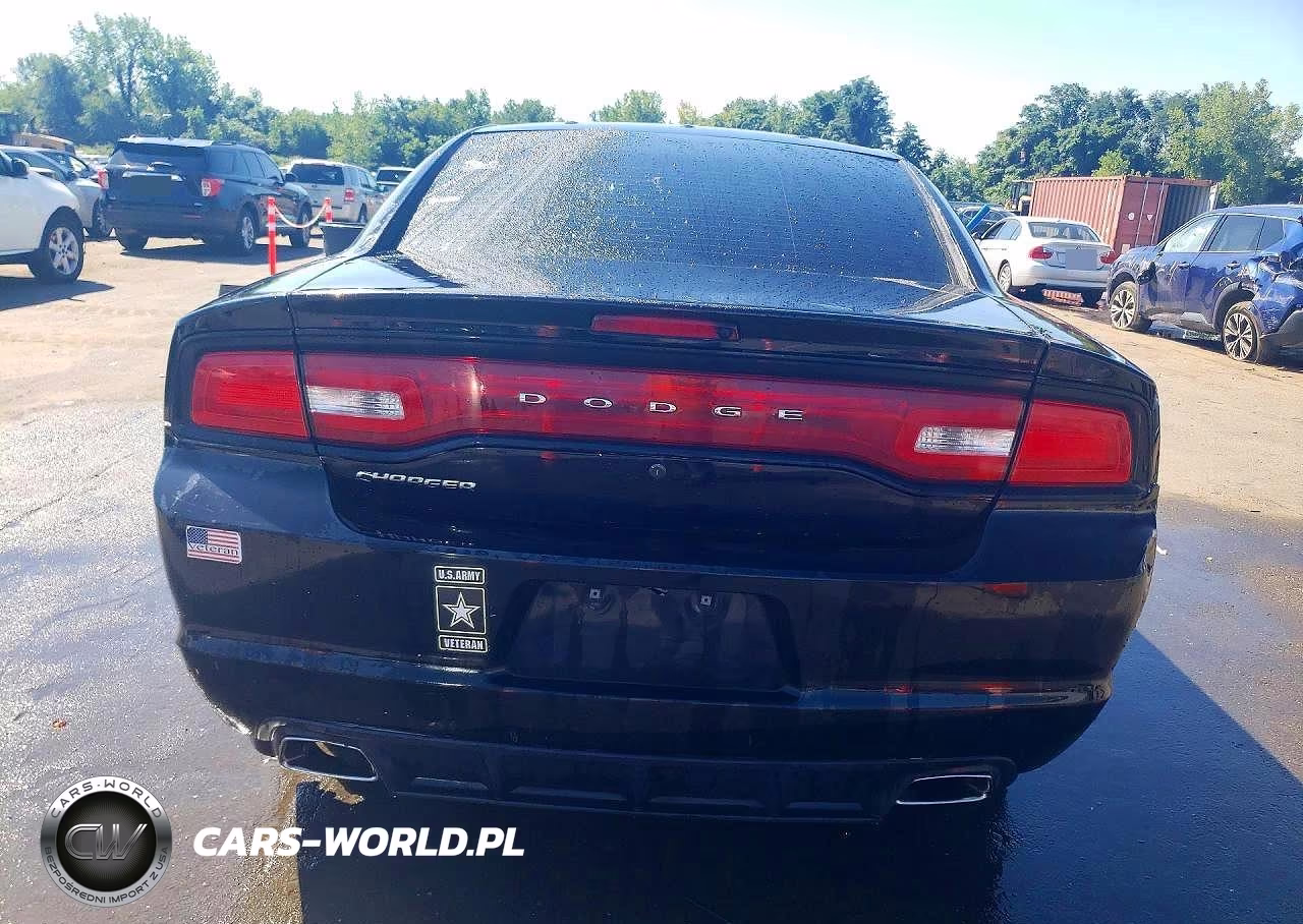 2013 Dodge Charger Police VIN:2C3CDXAG9DH713555 - 6