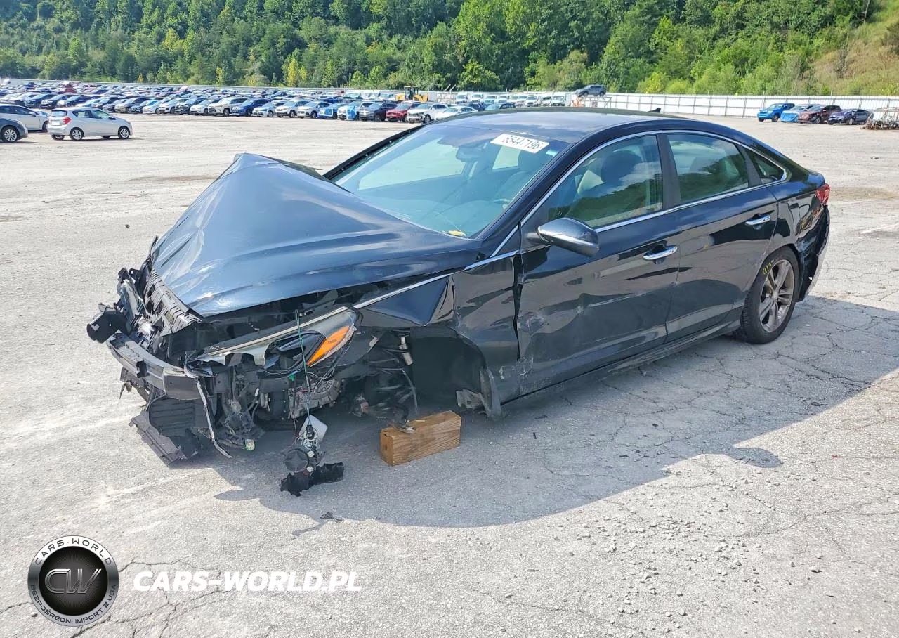 2018 Hyundai Sonata Sel VIN:5NPE34AF4JH679461 - 1