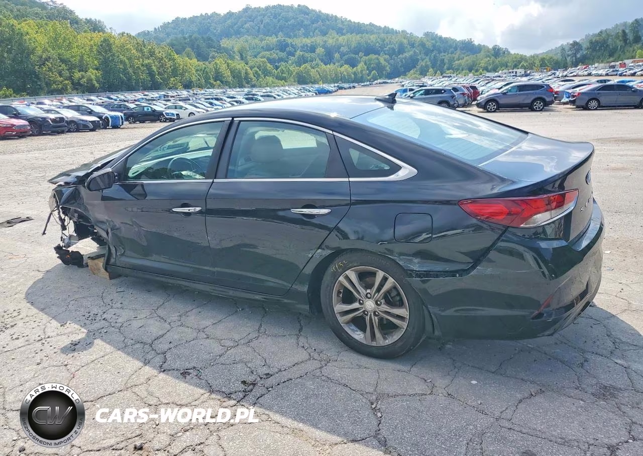 2018 Hyundai Sonata Sel VIN:5NPE34AF4JH679461 - 2