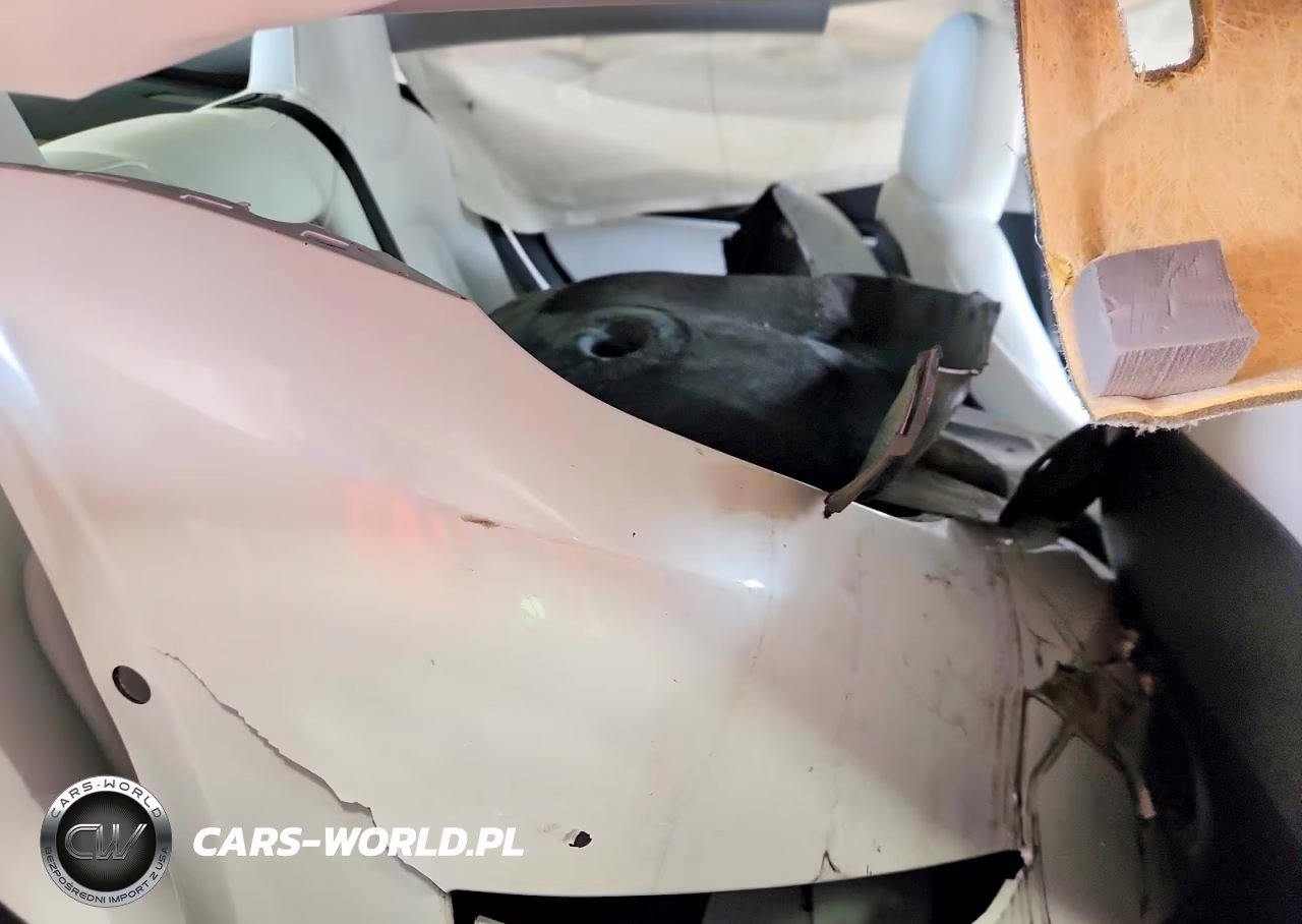 2020 Tesla Model 3 VIN:5YJ3E1EC3LF742826 - 10