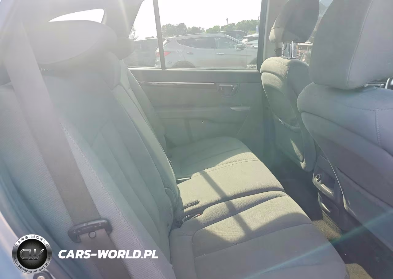 2010 Hyundai Santa Fe Gls VIN:5NMSGDAB5AH372155 - 10