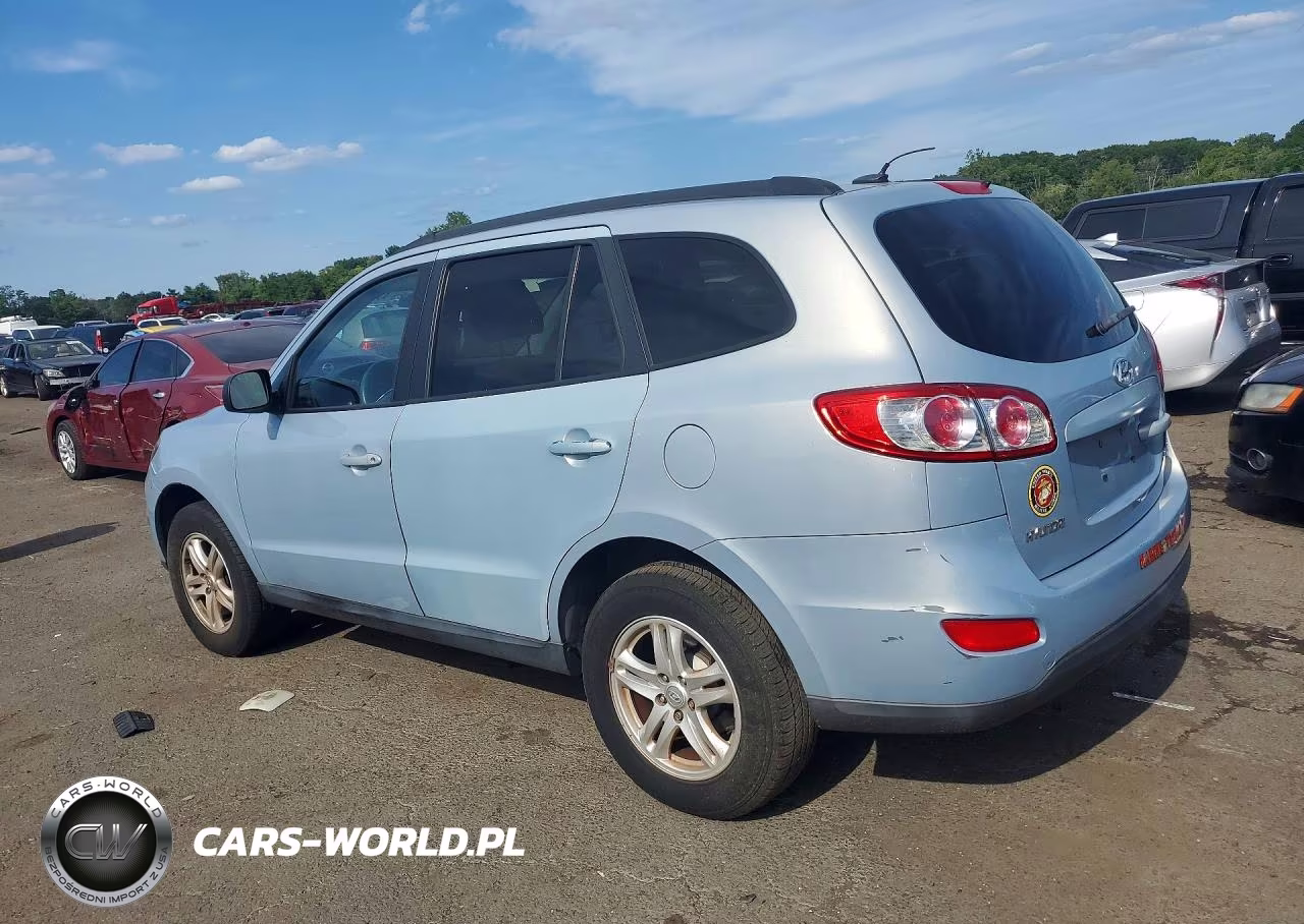 2010 Hyundai Santa Fe Gls VIN:5NMSGDAB5AH372155 - 2