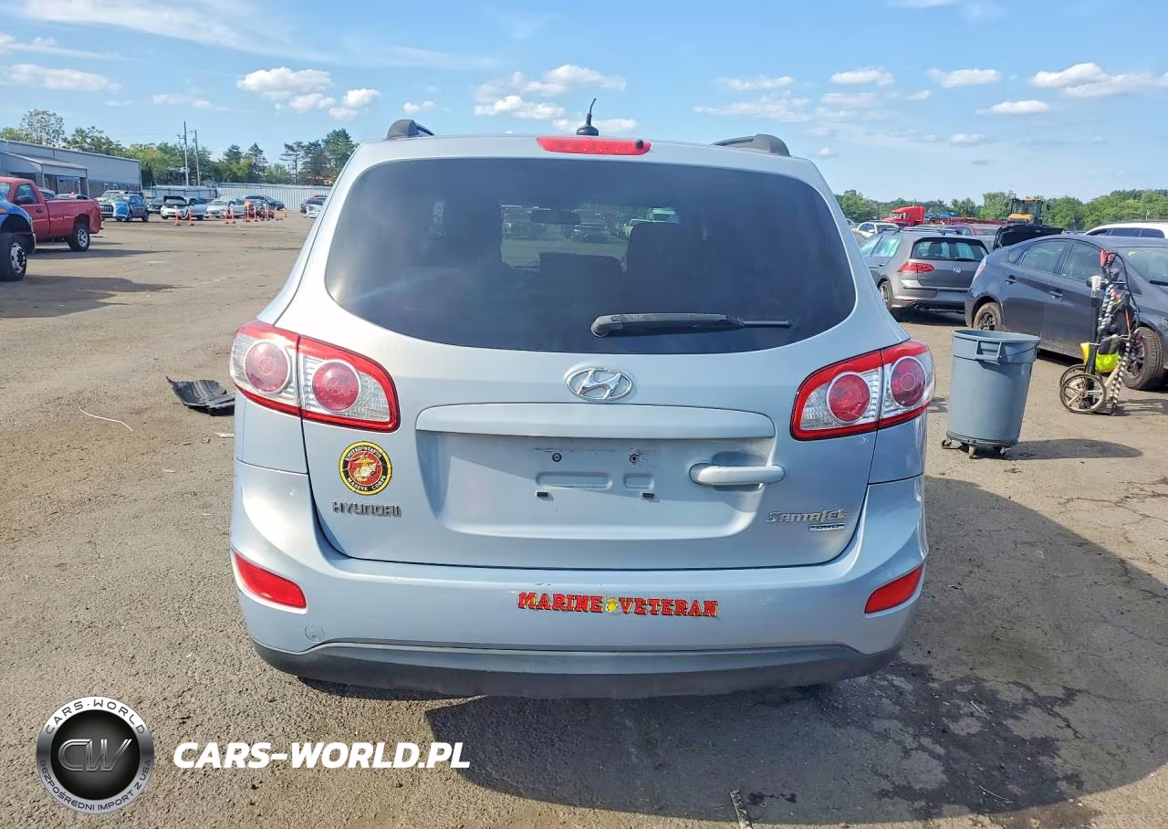 2010 Hyundai Santa Fe Gls VIN:5NMSGDAB5AH372155 - 6