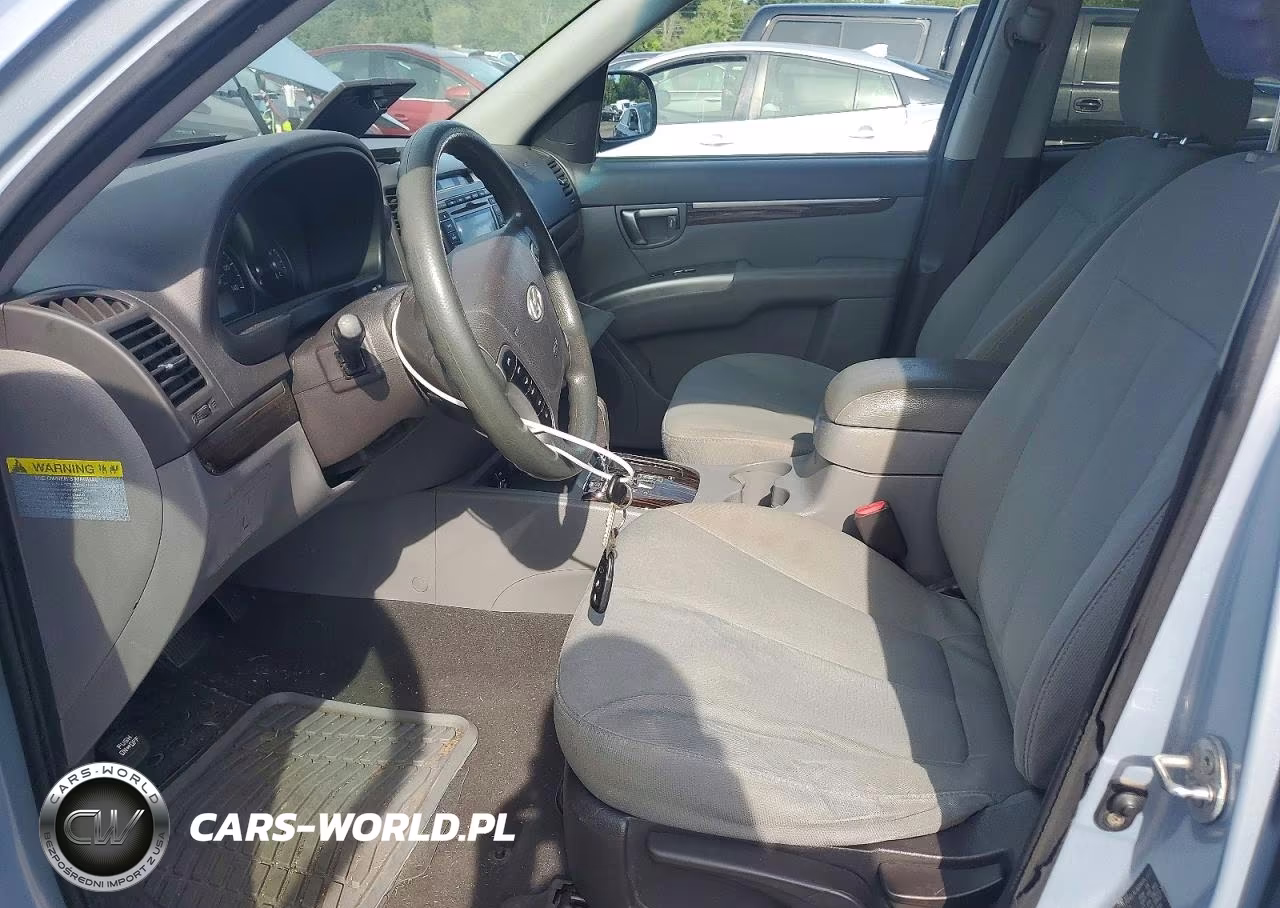 2010 Hyundai Santa Fe Gls VIN:5NMSGDAB5AH372155 - 7