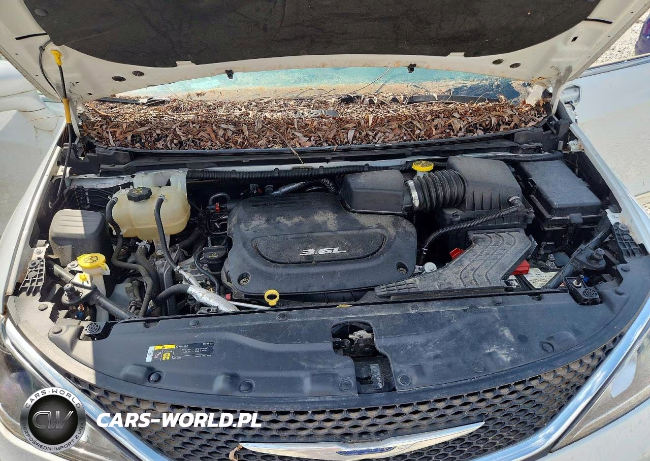 2018 Chrysler Pacifica Touring L VIN:2C4RC1BG0JR125795 - 12